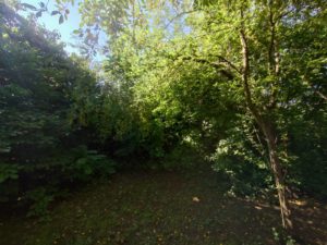 ミュンヘンの散歩道にて―季節の果実とドイツの小さな恵み