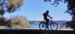 欧州・ドイツの自転車政策――なぜ重視されるのか、日本との違いとその背景